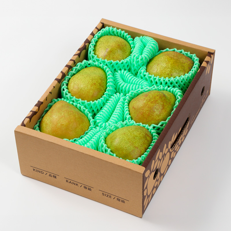 【定期便3回】果物定期便コース(さくらんぼ、シャインマス