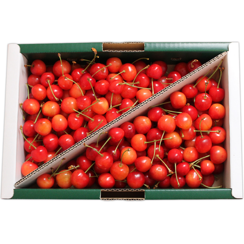 山形産 さくらんぼ 佐藤錦 1kg Lサイズ バラ詰め 【令和8年産