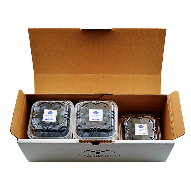 山形の朝摘み生ブルーベリー「ガイアの雫」500g(100g×5パッ