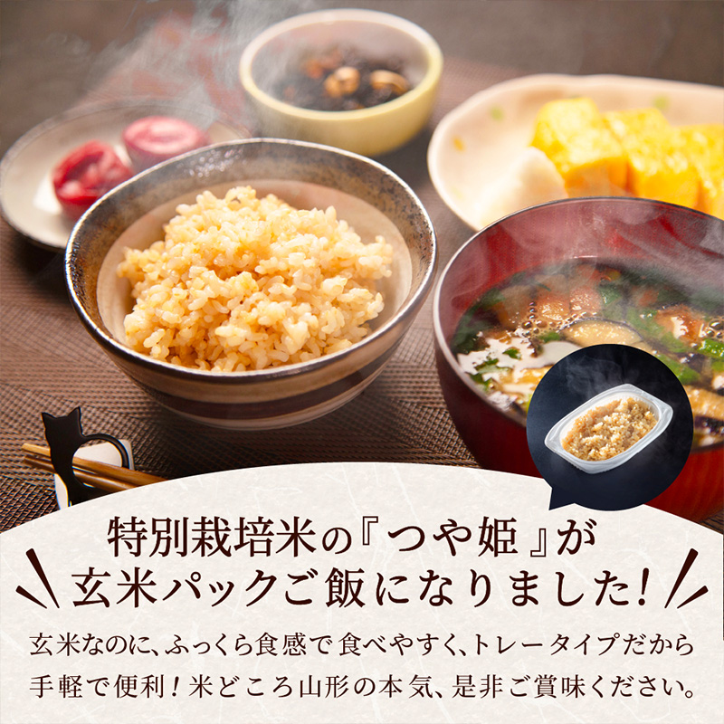 【定期便12回】やまがた玄米パックごはん 150g×9個  (つや姫)