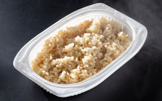 【定期便6回】やまがた玄米パックごはん 150g×9個  (つや姫) 