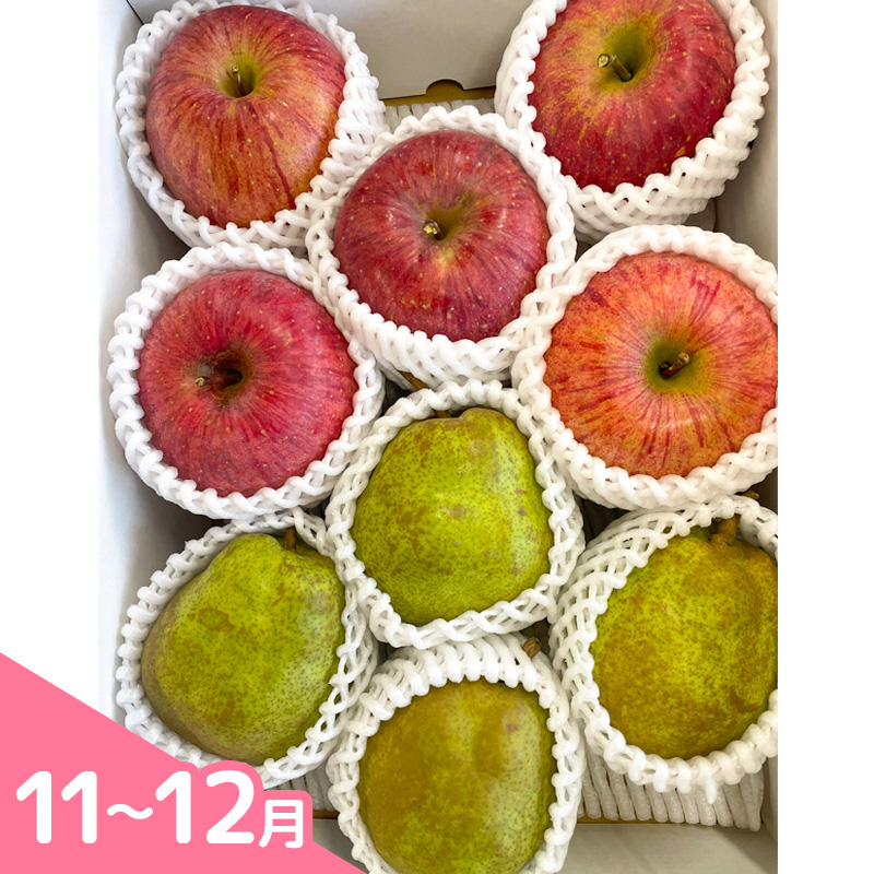 【定期便3回】疲れた身体においしい定期便　～フルーツか