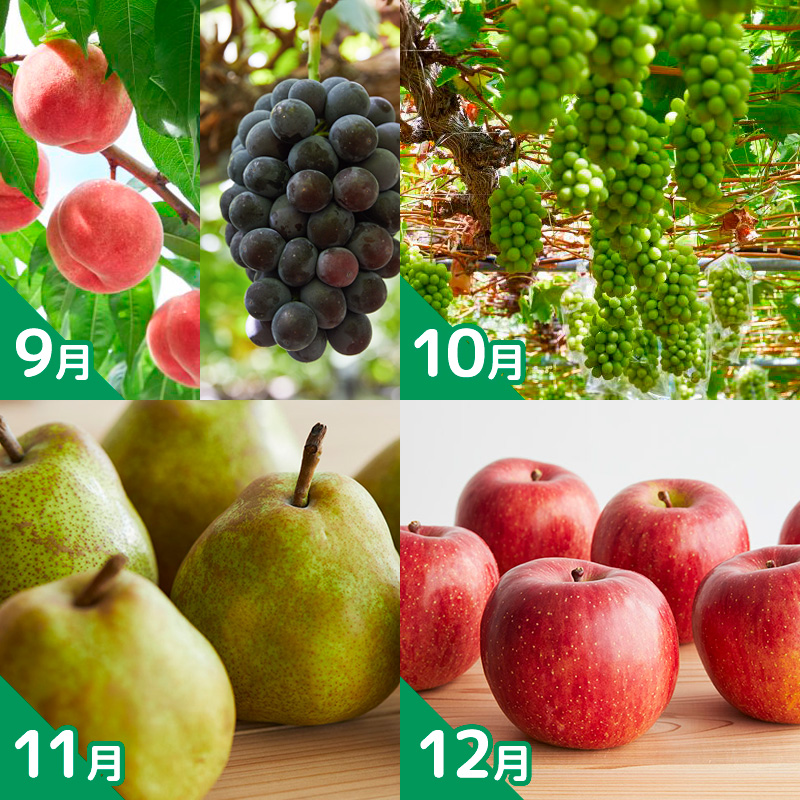 【定期便12回】老舗やまや園のうんまい山形１年間定期便 FY