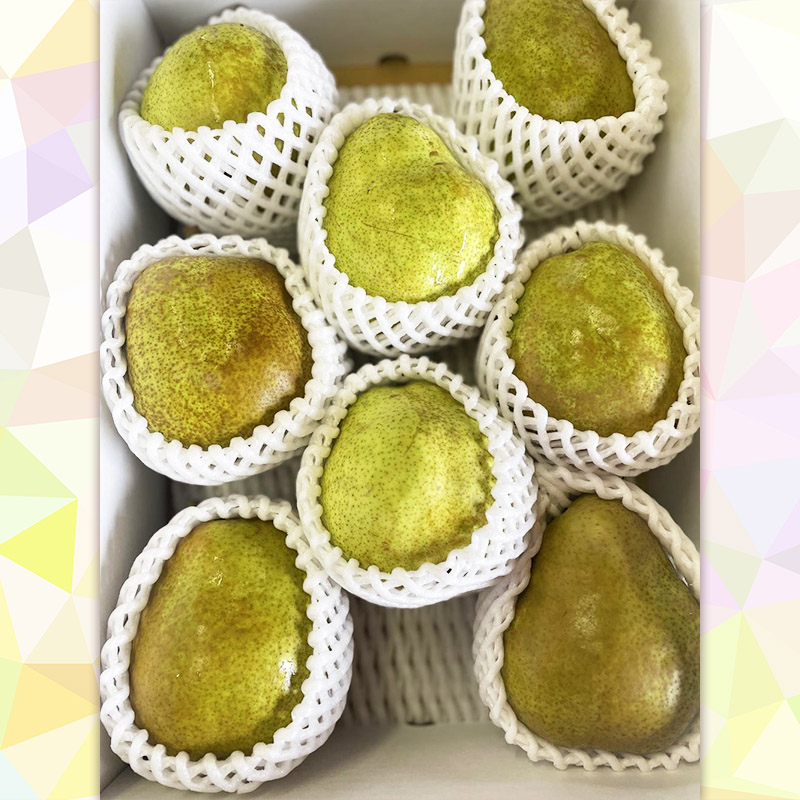 【定期便4回】もも好きのあなたへ ももの増量便 FY25-220