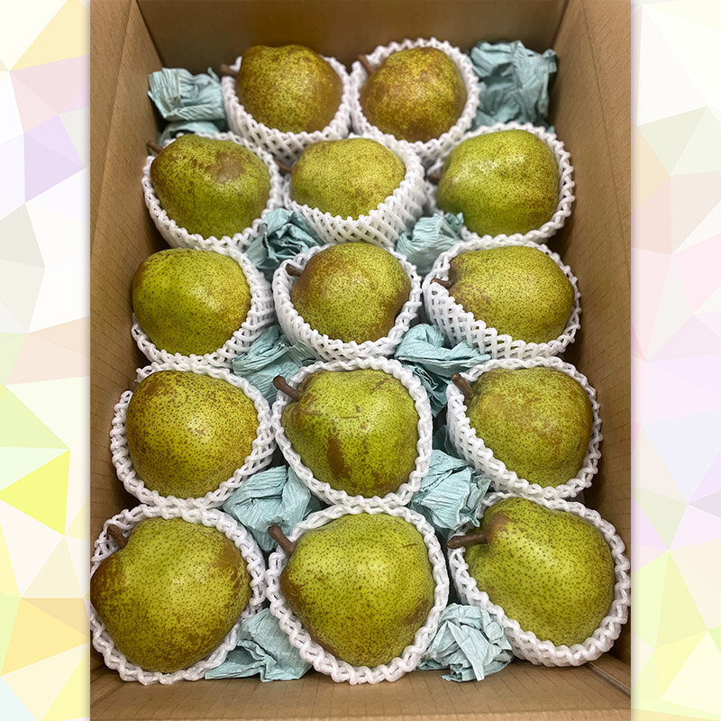 【定期便4回】ラ・フランス好きのあなたへ ラ・フランス増