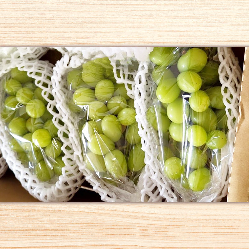 【定期便3回】山形の産直所で人気のベスト3！さくらんぼ・