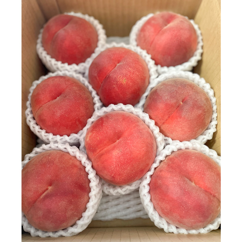 希少品種！！上品な甘さの大玉白桃【ゆめかおり】約3kg [や