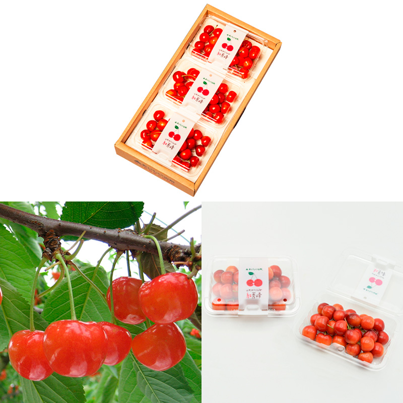 【定期便3回】【さくらんぼ贅沢便B】山形のさくらんぼ 佐