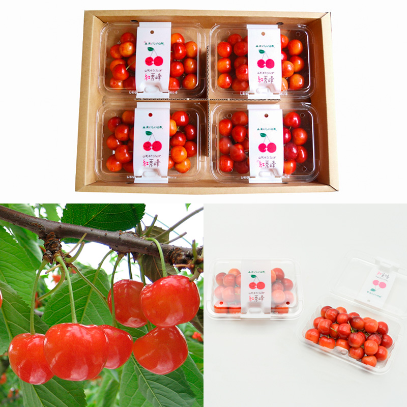 【定期便3回】【さくらんぼ定期便3回】山形のさくらんぼ 