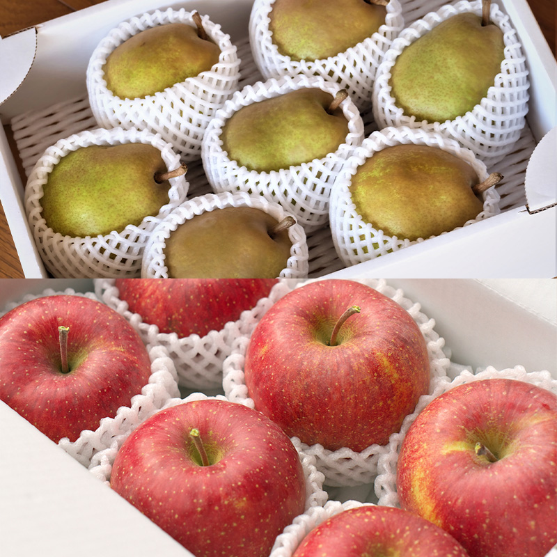 【定期便5回】ノノハナフルーツ 笑顔はなまる食べ切り便  F