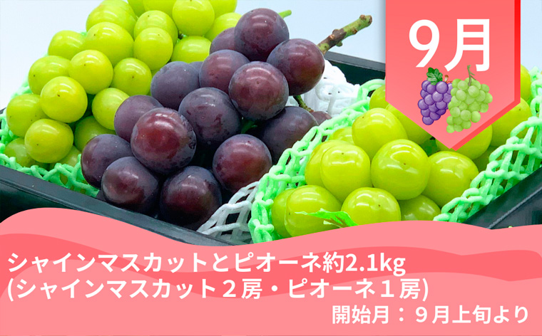 【定期便4回】やまがた郷土フルーツ定期便A FY25-342
