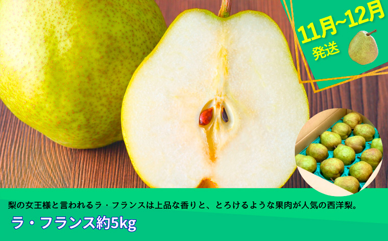 【定期便3回】やまがたフルーツ定期便”蔵王”山形名物フ