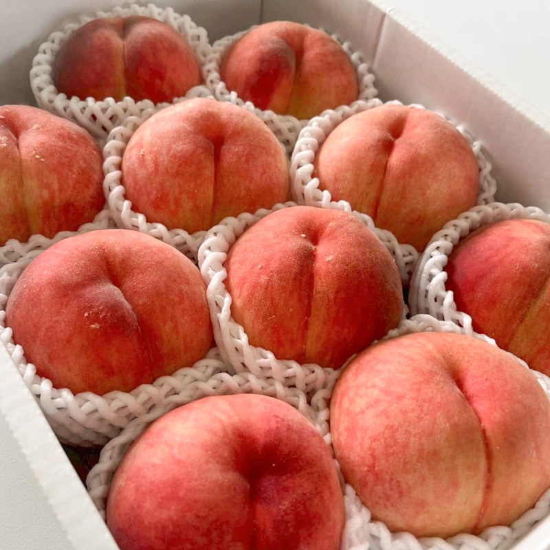 【硬い桃好きの方へ】大人気！かためのパリッと食感！山