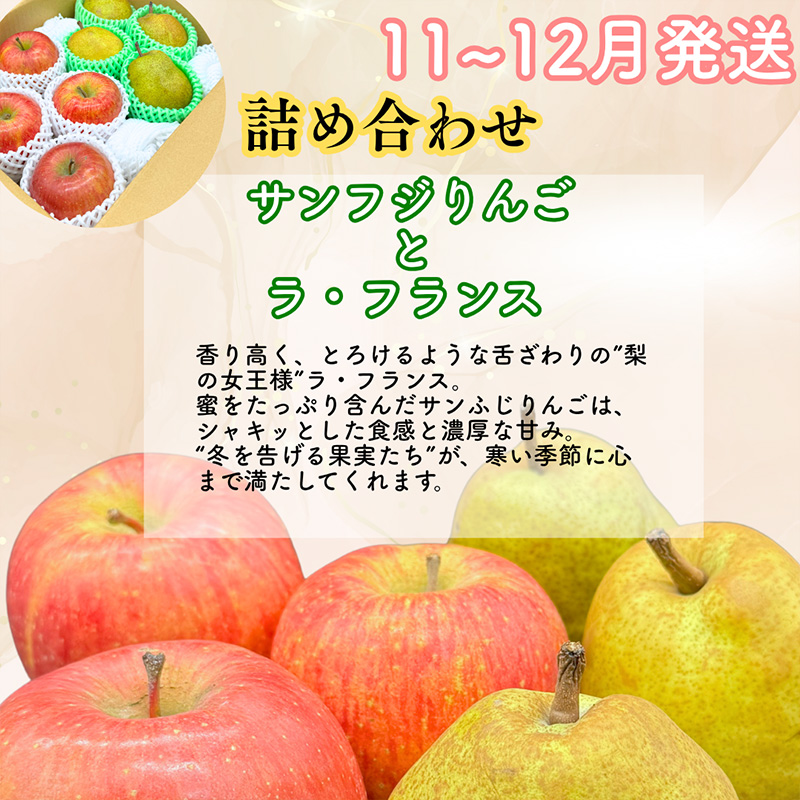 【定期便3回】山形果匠【旬のよりどり定期便】全3回 1回で2