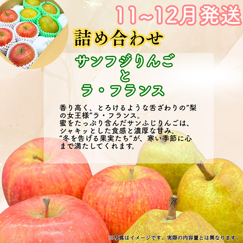 【定期便3回】山形果匠【旬のよりどり定期便】A 全3回 1回