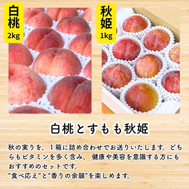 やまがた果実めぐり —白桃と秋姫— 約3kg 秀品【令和8年産