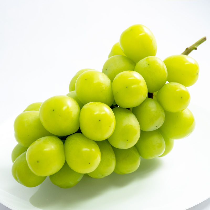 【定期便3回】やまがた旬果実の定期便【令和8年産先行予約