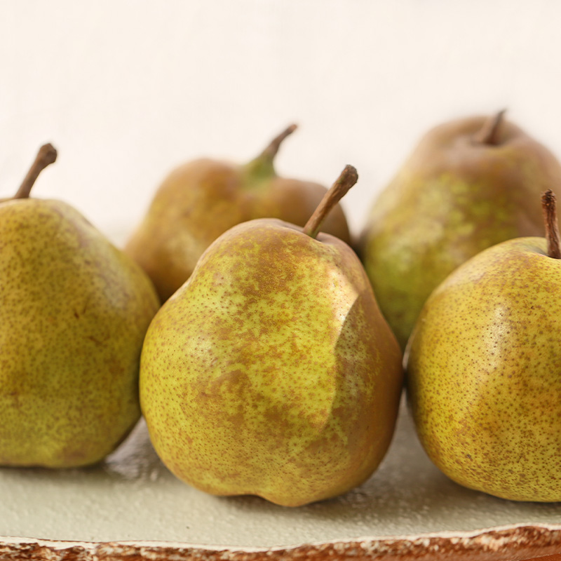 【定期便5回】好きですやまがた！初夏から始まる果実のお