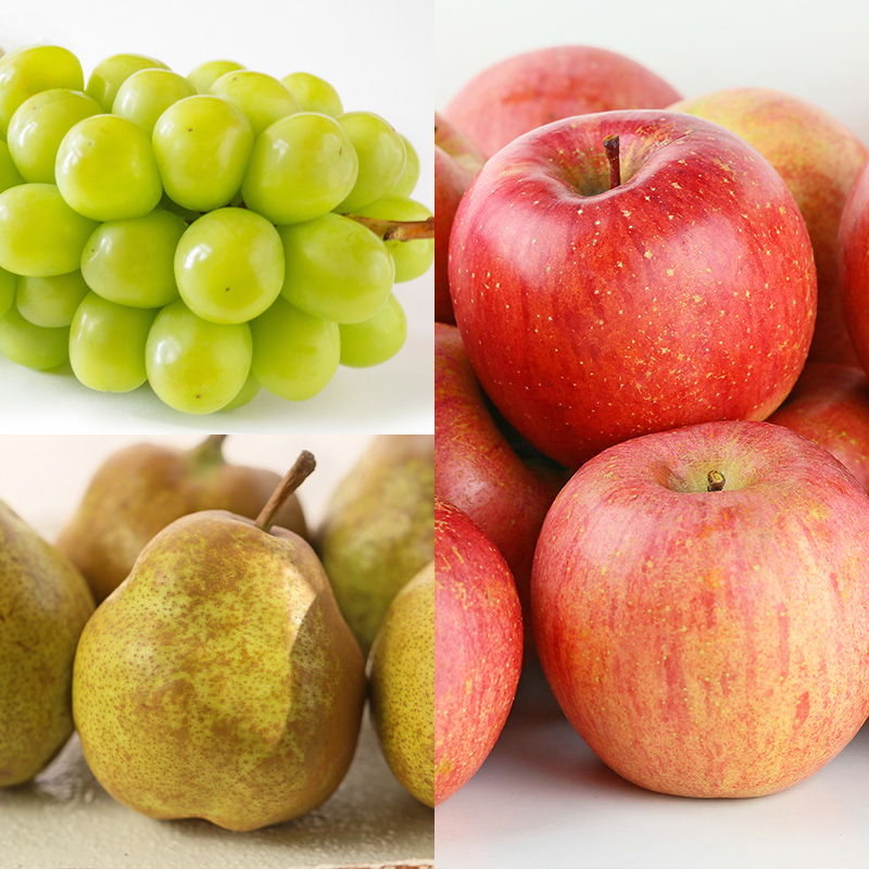 【定期便10回】好きですやまがた まるごと！果実のおもて