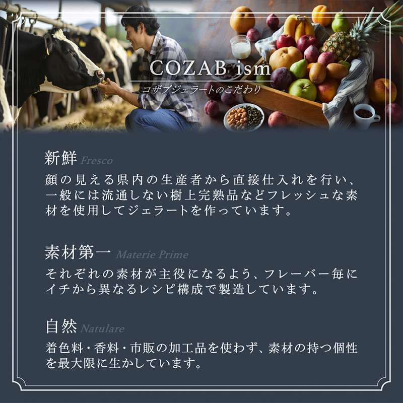 COZAB GELATO 訳あり 大容量 ひとりじめサイズ 6個セット FY25-277