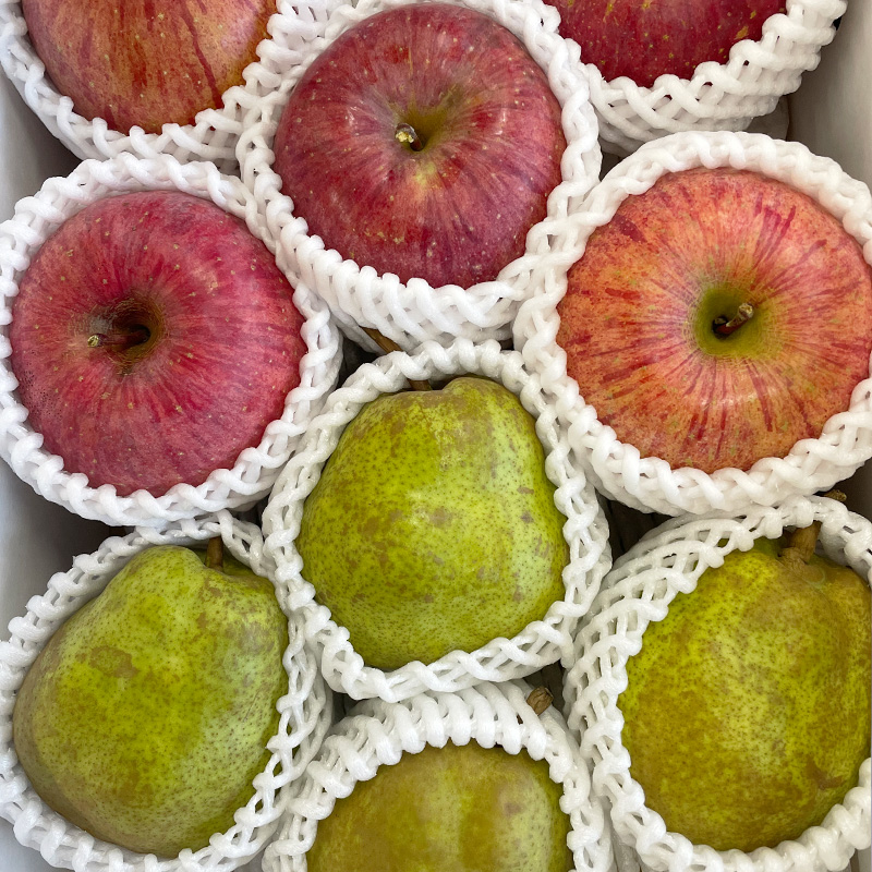 【定期便3回】山形が育んだおいしい果物 豪華２種類の詰め