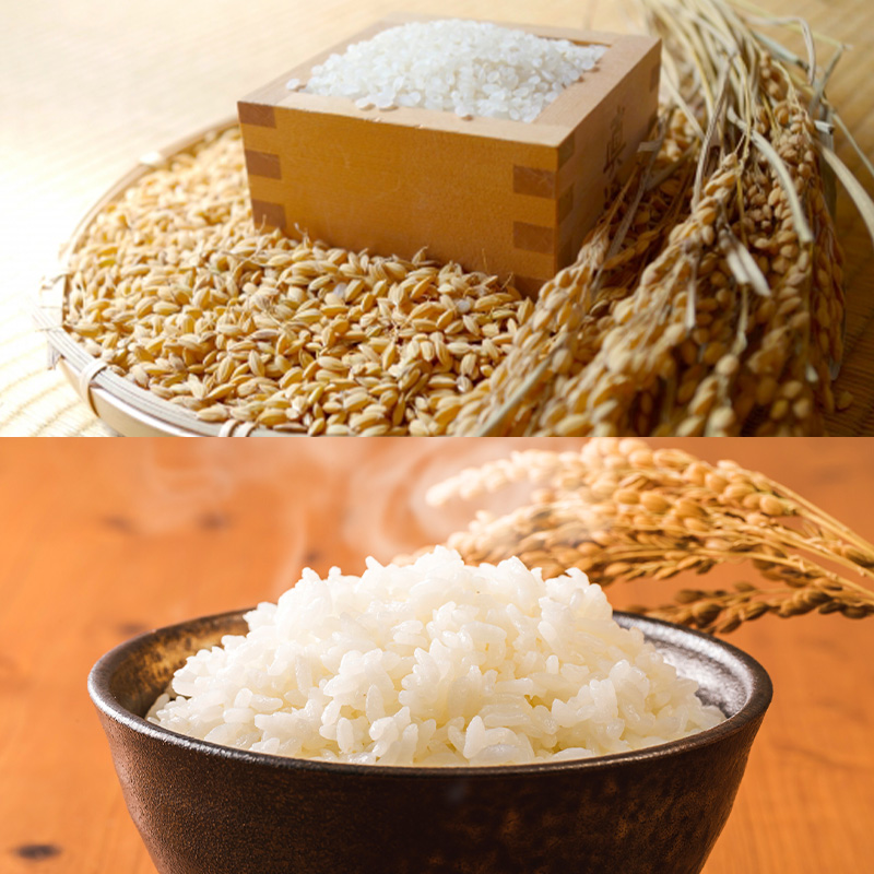 食卓応援企画！★数量限定★特別栽培米 つや姫5kgと雪若丸5