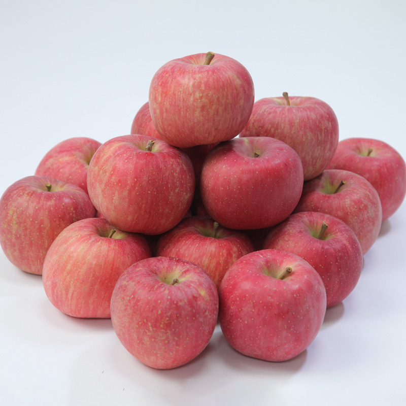 ★フルーツ王国山形★【ご家庭用】小玉サンふじりんご(無