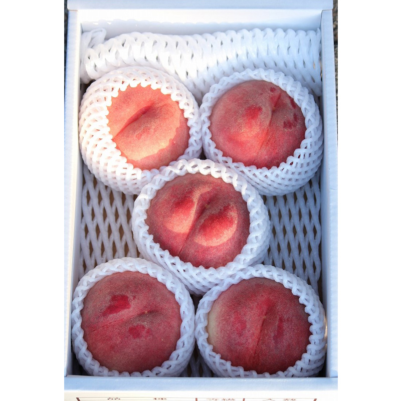 山形県産白桃おどろき 約1.5kg[硬めの桃]【令和8年産先行予