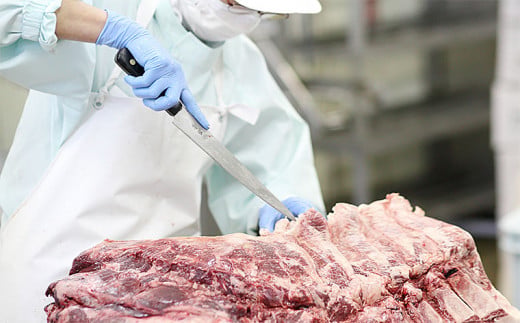 山形牛A4-5 すきやき用 700g(肩ロース300g・モモ400g) FZ19-308