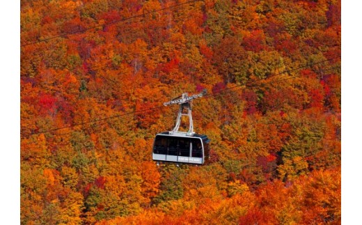 蔵王ロープウェイ乗車券(4区間券)引換券 FZ22-969 蔵王 旅行 