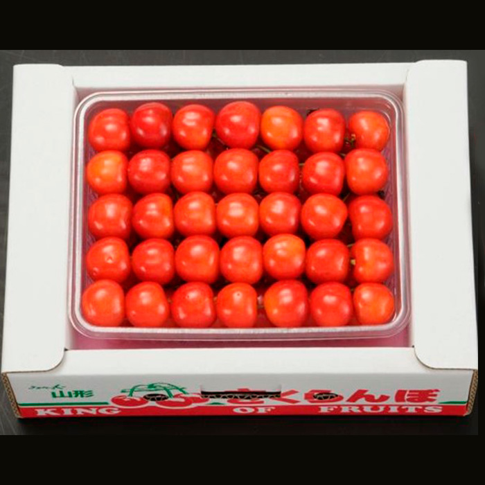 さくらんぼ(紅秀峰)Ｌ500g手詰め 【令和8年産先行予約】FS24-5