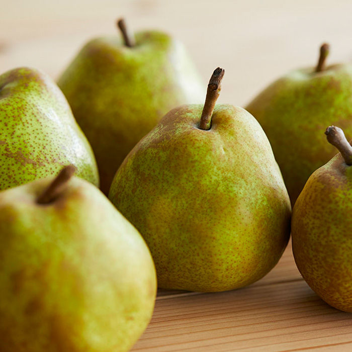 【定期便5回】毎月届く！果物王国山形のフルーツ 【令和8