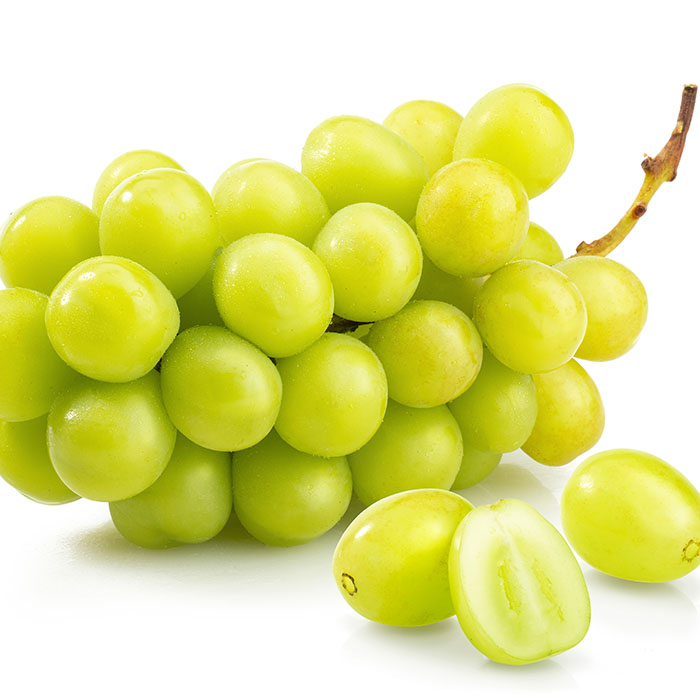 【定期便5回】山形果実の彩 【令和8年産先行予約】FS25-681