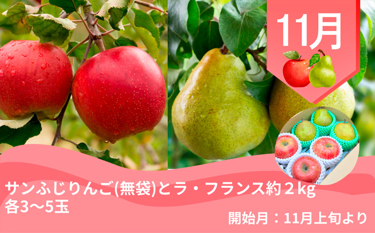 【定期便4回】やまがた 郷土フルーツ定期便 佐藤錦・やわ