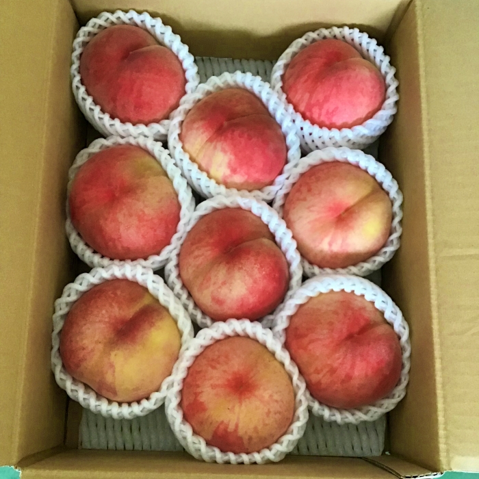 山形市産 白桃 秀品 約3kg [やや硬め]【令和8年産先行予約】F