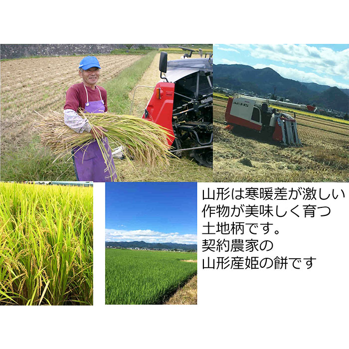 香りが良い 「ずんだ餅」 12個(4個入×3箱） FZ23-545