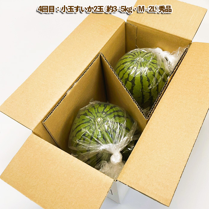 【定期便4回】山形を堪能！旬のフルーツ便り (2024秋～2025冬