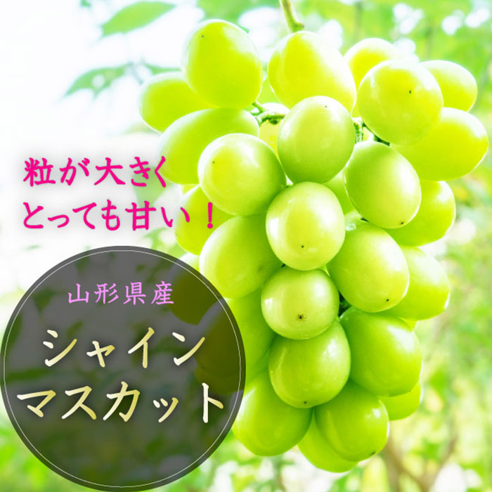 【定期便3回】山形市の至高！山形市厳選フルーツ定期便【