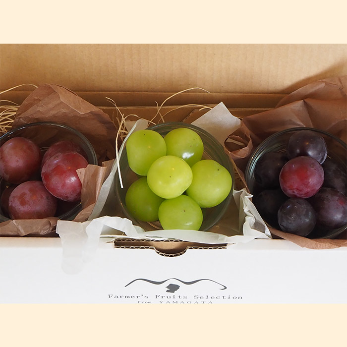 【定期便6回】★食べきりシリーズ★やまもりやまがたプレ