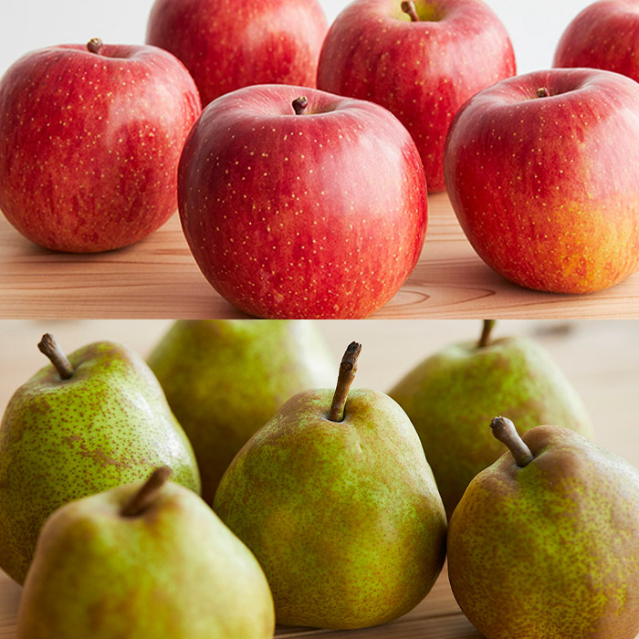 【定期便4回】ふるさと山形のおいしい定期便 【令和8年産