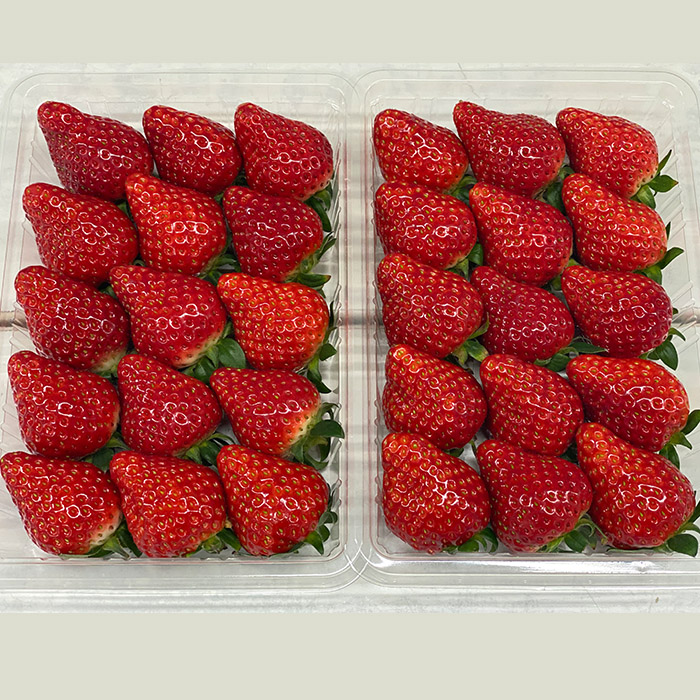 【定期便4回】山形のすっごく美味しい果物定期便 【令和8