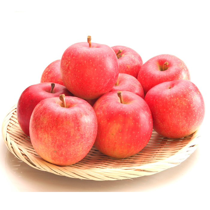 【定期便4回】樹になる定期便【令和8年産先行予約】FU23-795