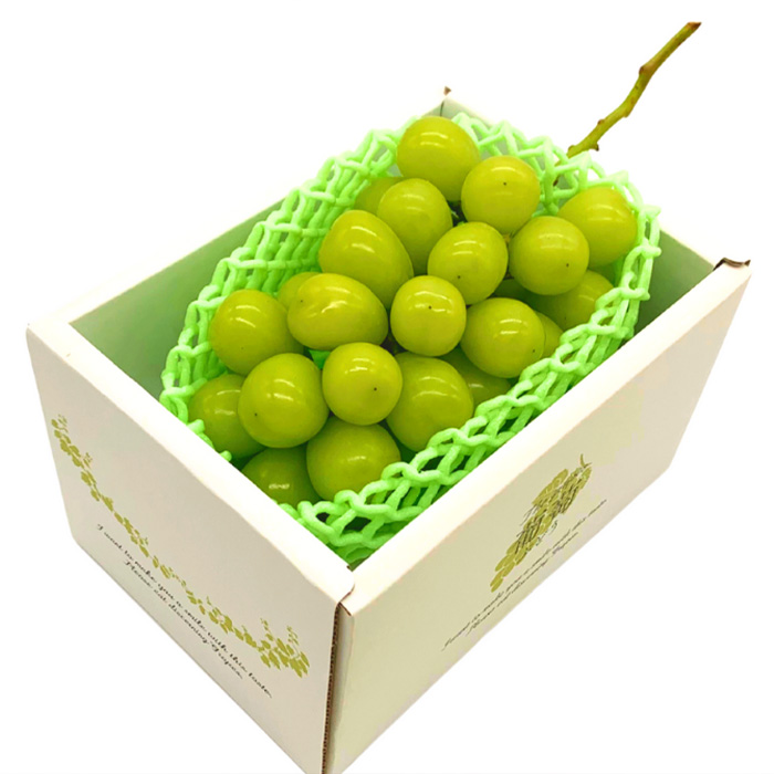 【定期便5回】やまがた ”初夏さくらんぼから冬りんご”ま