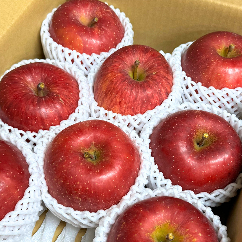 【定期便4回】やまがた 秋フルーツ浪漫B【令和7年産先行予