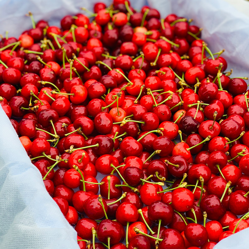 さくらんぼ 「佐藤錦」 300g 特秀品 2Lサイズ 桐箱入 山形産