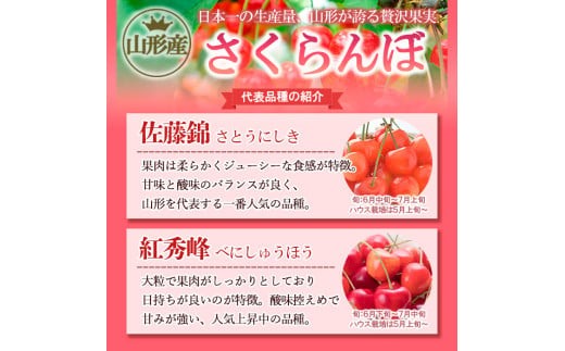 山形市産 さくらんぼ【紅秀峰】 Lサイズ 800g(200g×4P) 【令和7年産先行予約】FS24-755: 山形市ANAのふるさと納税