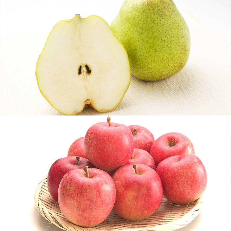 【定期便8回】人気フルーツ満喫便 【令和8年産先行予約】FS