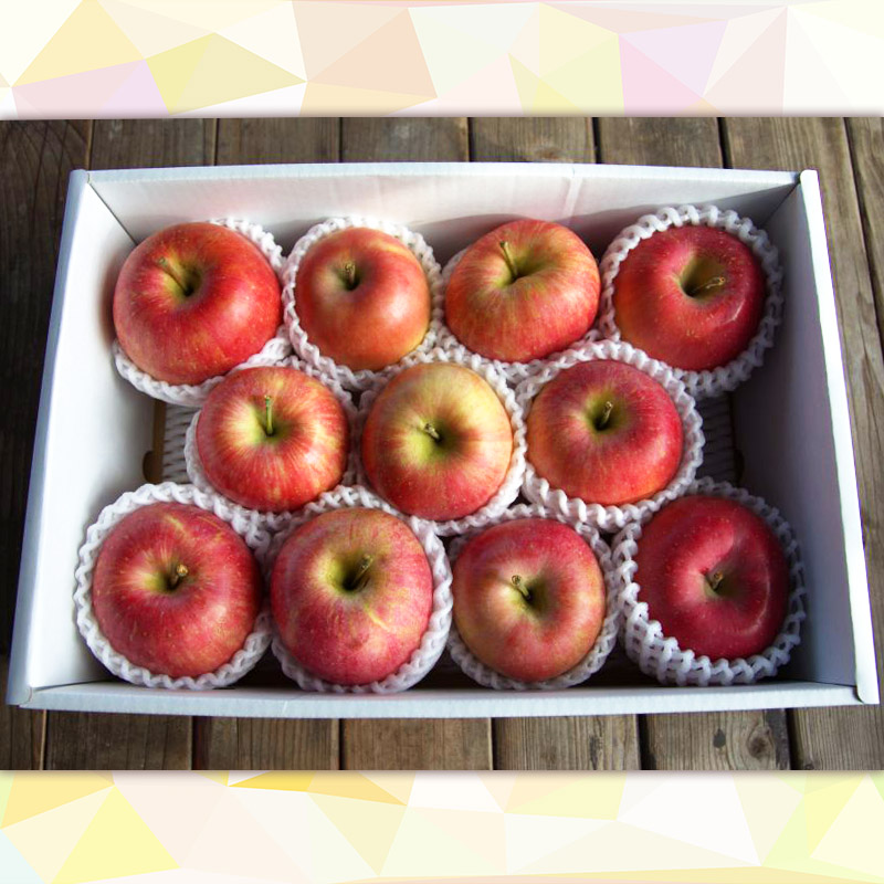 【定期便4回】シャインマスカット好きのあなたへ シャイン