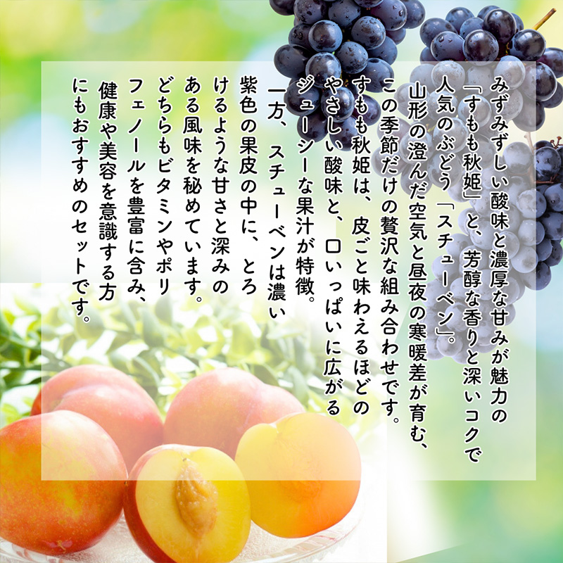 【定期便5回】やまがたを堪能！イチオシ定期便【令和8年産