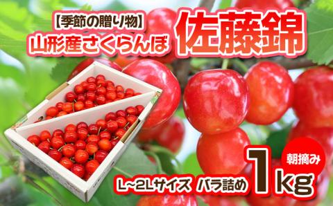 季節の贈り物】さくらんぼ 佐藤錦 1kg バラ詰め L～2L 朝摘み【令和6年産先行予約】FS23-880: 山形市ANAのふるさと納税